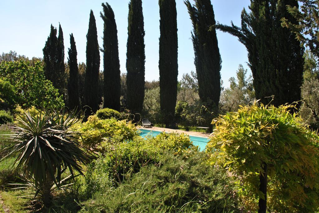 Cefalicchio B&B Canosa di Puglia Εξωτερικό φωτογραφία
